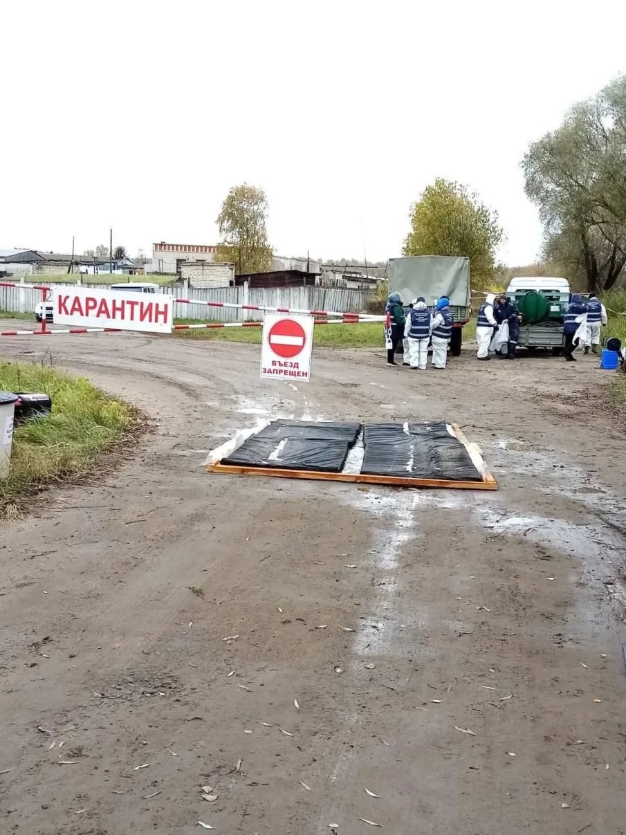 Государственной ветеринарной службой Нижегородской области организованы межрегиональные командно-штабные учения по локализации и ликвидации условного очага высокопатогенного гриппа птиц в Выксе