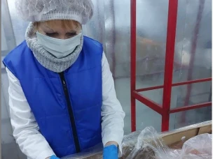 Ветеринарная служба осуществляет ветеринарно - санитарный контроль продукции поступающие в детские образовательные учреждения г. Нижнего Новгорода.