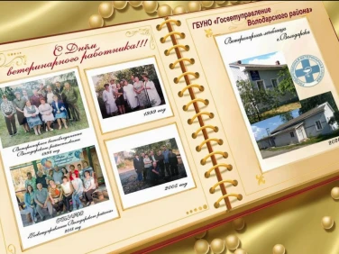 ГБУ НО «Госветуправление Володарского района»