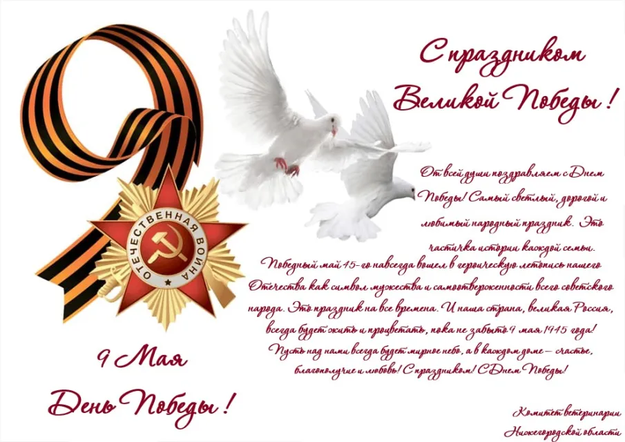 Поздравляем с Днем Победы в Великой Отечественной войне!