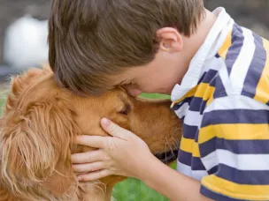 Всемирный день домашних животных​ (World Pets Day).