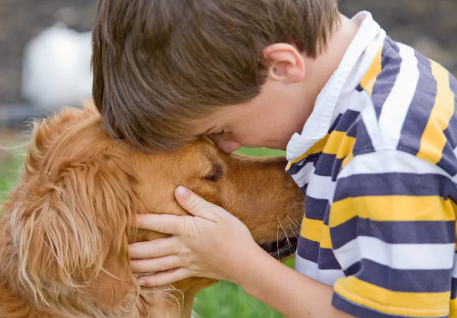 Всемирный день домашних животных​ (World Pets Day).
