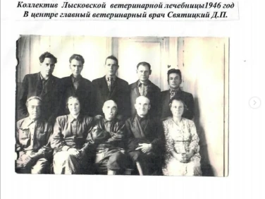 ГБУ НО «Госветуправление Лысковского района»