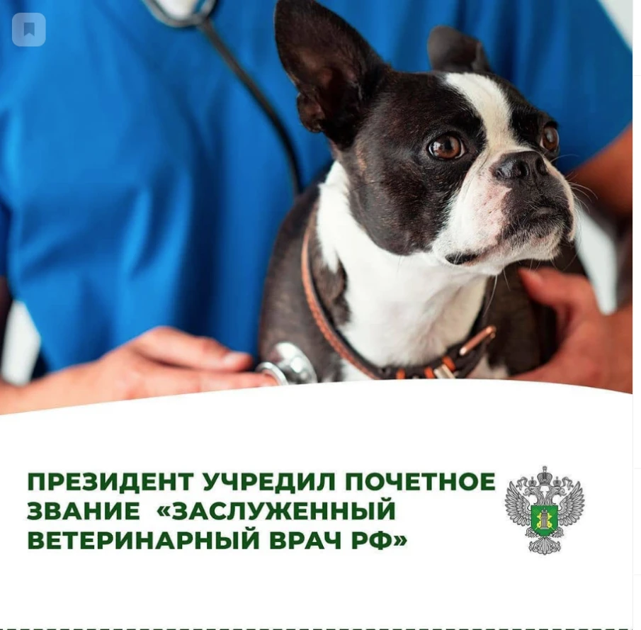 Указ опубликован 17 мая на официальном портале правовой информации, вступает в силу со дня подписания.