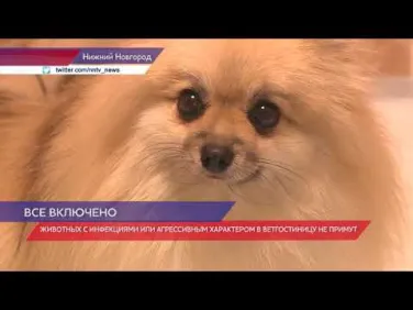 Ветеринарные гостиницы города Нижнего Новгорода