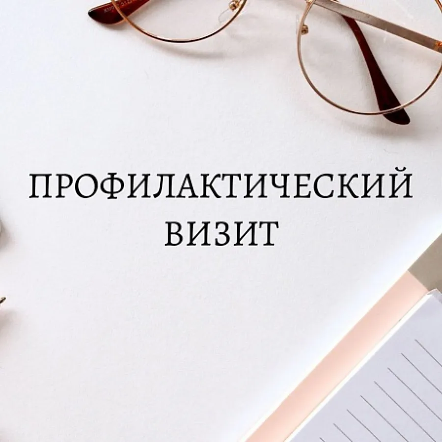 Профилактический визит