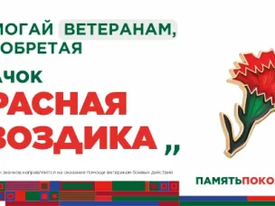 Ежегодная всероссийская акция помощи ветеранам «Красная гвоздика» стартует 10 апреля. Каждый житель Нижегородской области может присоединиться!