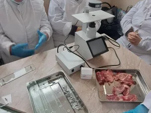 Продолжаются стажировки государственных ветеринарных врачей на проведение ветеринарно-санитарной экспертизы мяса и продуктов убоя в ООО "Чернышихинский мясокомбинат"