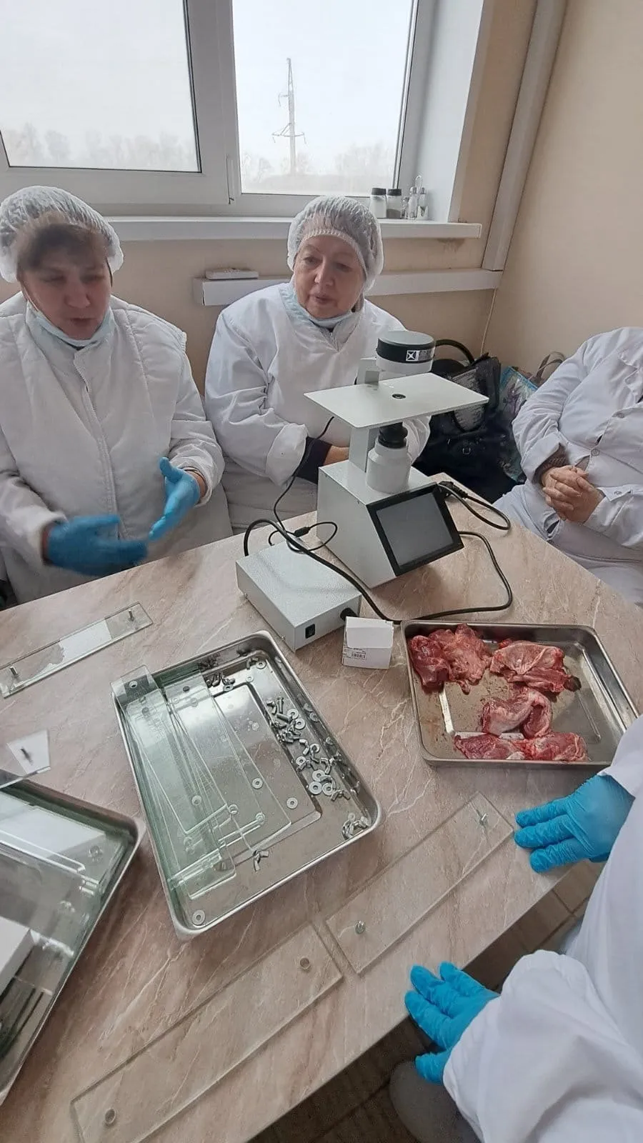 Продолжаются стажировки государственных ветеринарных врачей на проведение ветеринарно-санитарной экспертизы мяса и продуктов убоя в ООО "Чернышихинский мясокомбинат"