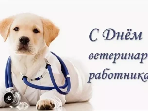 Поздравление с профессиональным праздником — днем ветеринарного работника!