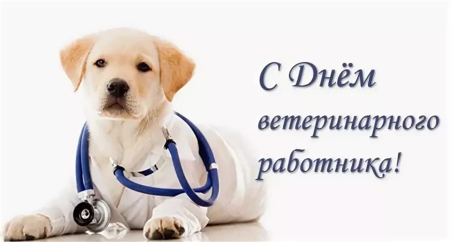 Поздравление с профессиональным праздником — днем ветеринарного работника!