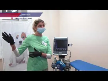 Новый государственный ветеринарный кабинет начал работать в Дзержинске