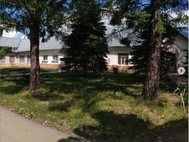 ГБУ НО «Госветуправление ГО г. Бор»