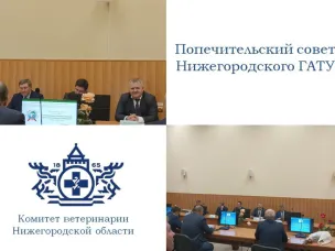 1 ноября комитет ветеринарии принял участие в заседании Попечительского совета Нижегородского ГАТУ