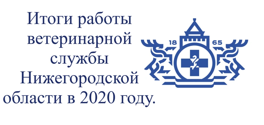 Подведены итоги работы государственной ветеринарной службы Нижегородской области за 2020 год.
