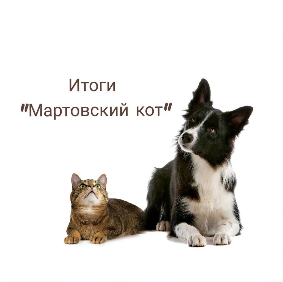 1060 животных собак и кошек приняли участие в льготной акции стерилизация домашних животных.