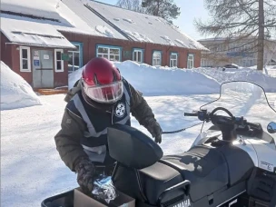 В Нижегородской области начат первый этап ежегодной вакцинации диких плотоядных животных против бешенства.