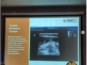 Государственные ветеринарные специалисты Нижегородской области продолжают повышать свой профессионализм, теоретические знания и практические навыки.