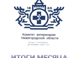 Итоги работы государственной ветеринарной службы Нижегородской области за сентябрь 2023
