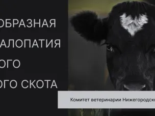 ПАМЯТКА ДЛЯ НАСЕЛЕНИЯ ПО ГУБКООБРАЗНОЙ ЭНЦЕФАЛОПАТИИ КРУПНОГО РОГАТОГО СКОТА