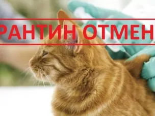 С 3 августа текущего года на территории Нижегородской области отменен карантин по бешенству животных в 9 населенных пунктах
