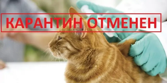 С 3 августа текущего года на территории Нижегородской области отменен карантин по бешенству животных в 9 населенных пунктах