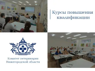 Специалисты Областной ветеринарной лаборатории прошли курсы повышения квалификации по вопросам биобезопасности и биозащиты диагностической лаборатории